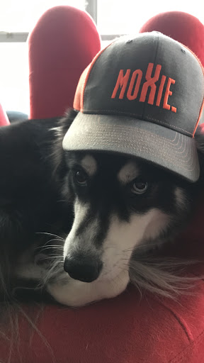 Hair Salon «Moxie Hair Salon», reviews and photos, 700 Grand Ave #100b, St Paul, MN 55105, USA