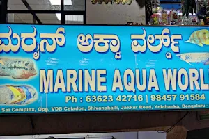Marine Aqua World image