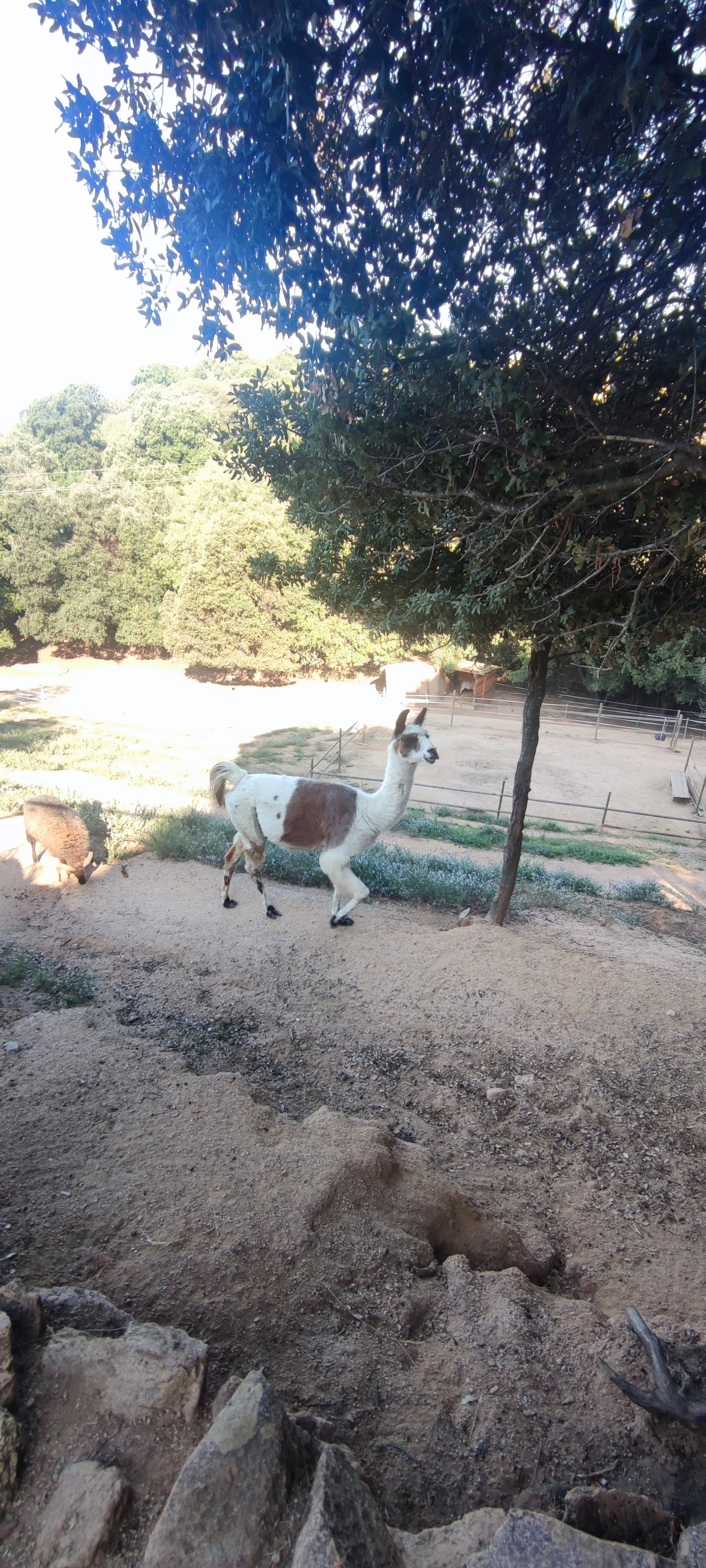 Photo n° 2 de l'avis de Hélorie.h fait le 07/10/2023 à 18:39