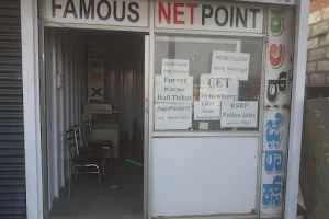 FAMOUS NET POINT image