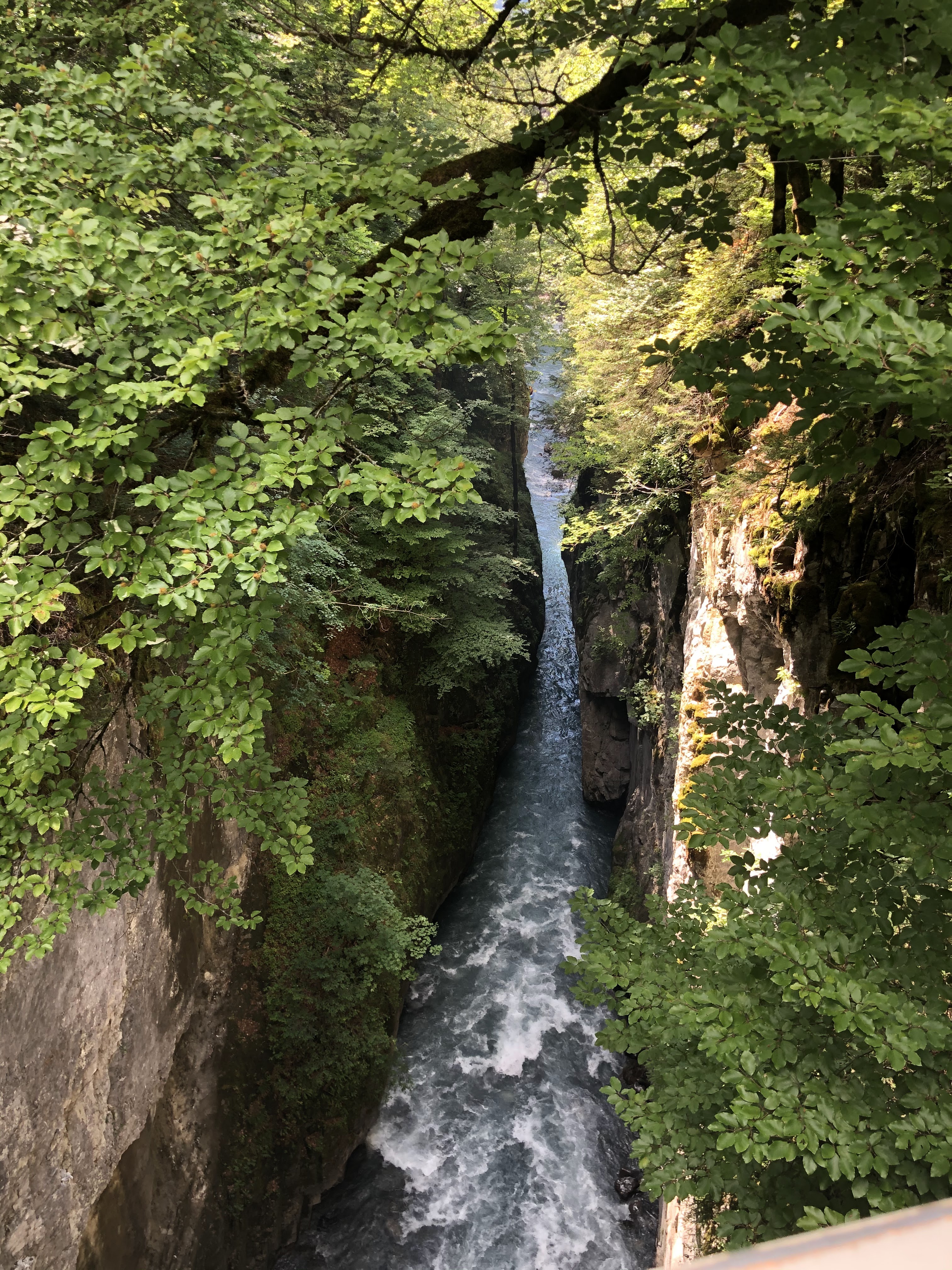 Photo n° 3 de l'avis de Florian.a fait le 14/07/2020 à 21:06