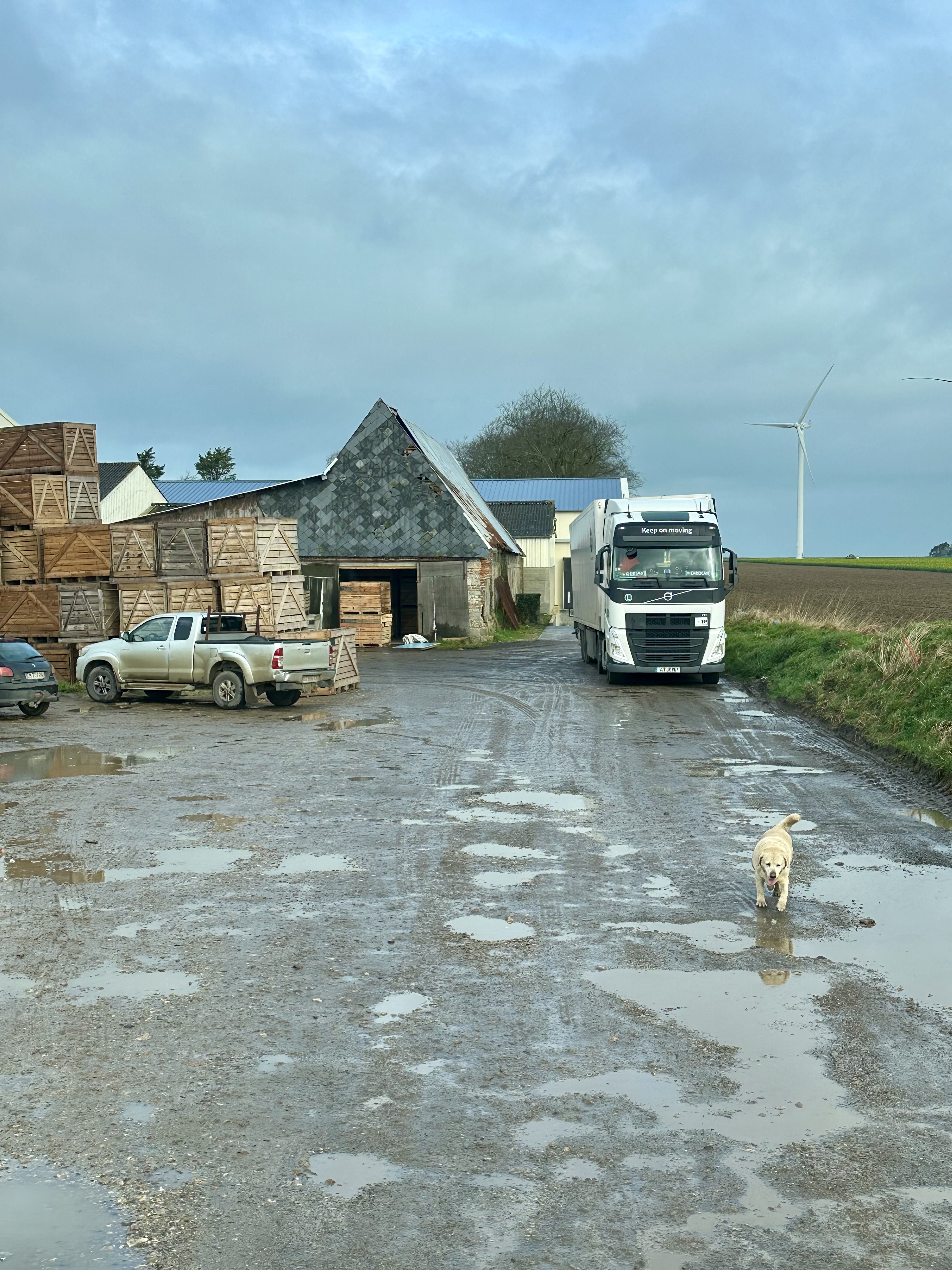 Photo n° 5 de l'avis de Orkiskara. fait le 15/03/2024 à 15:47