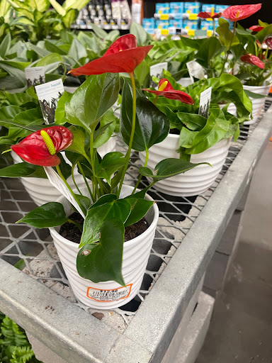 Home Improvement Store «The Home Depot», reviews and photos, 15220 Creosote Rd, Gulfport, MS 39503, USA