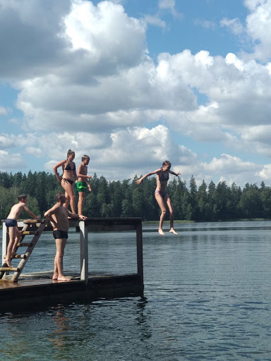 Grocery Store «ShopRite of Daleville», reviews and photos, 921 Drinker Turnpike #24, Covington Township, PA 18444, USA