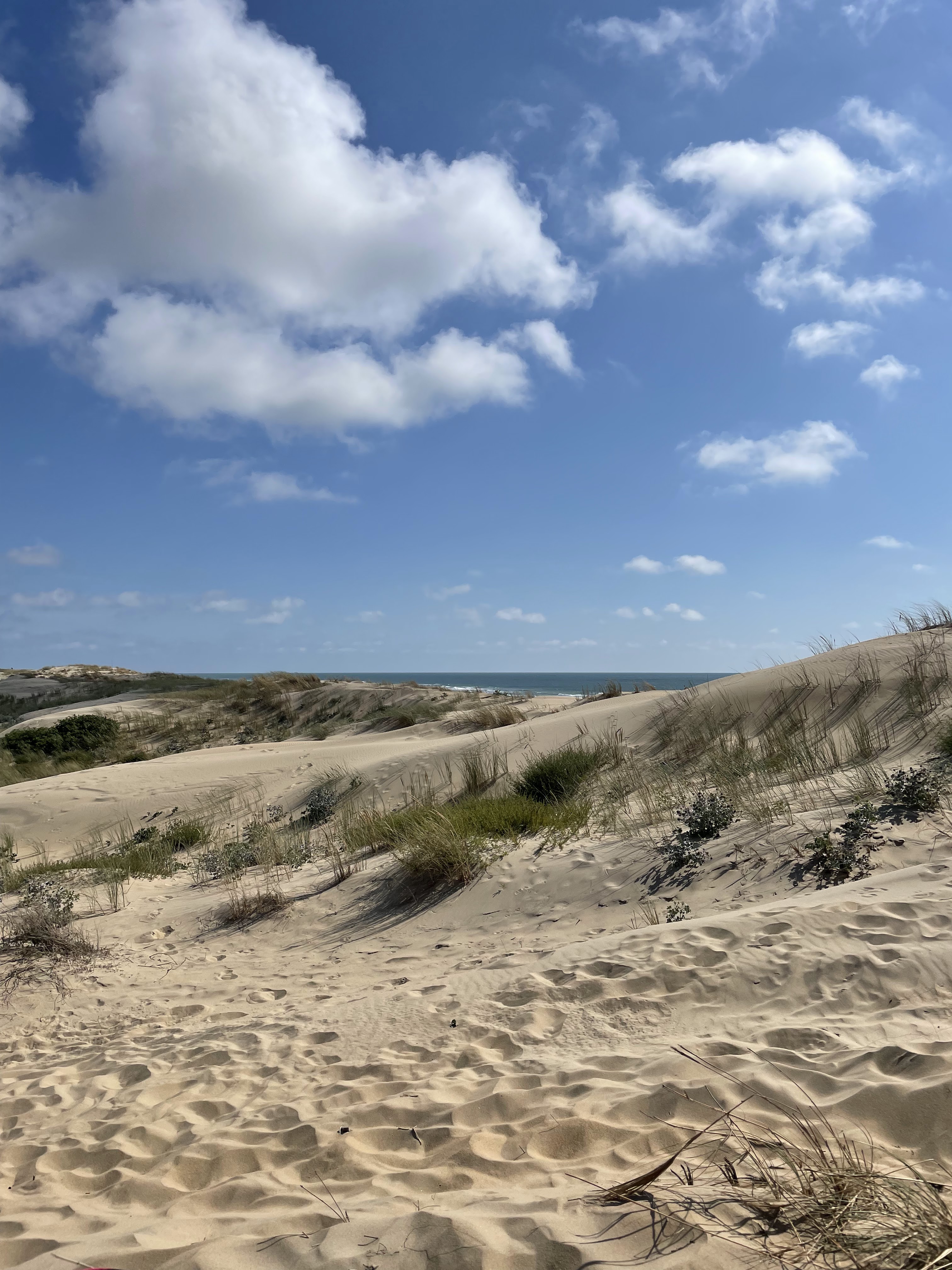 Photo n° 2 de l'avis de Arthur.o fait le 01/08/2021 à 12:56