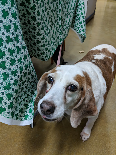 Pet Supply Store «PetSmart», reviews and photos, 6243 College Dr, Suffolk, VA 23435, USA