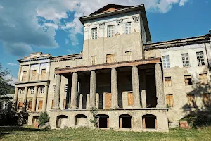 manor Demidov image