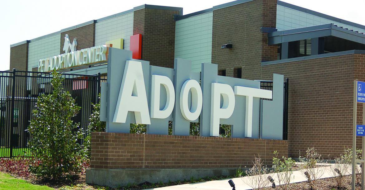 HSNT Kaufman County Pet Adoption Center