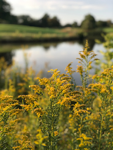 Golf Course «Springbrook Golf Course», reviews and photos, 2220 83rd St, Naperville, IL 60564, USA