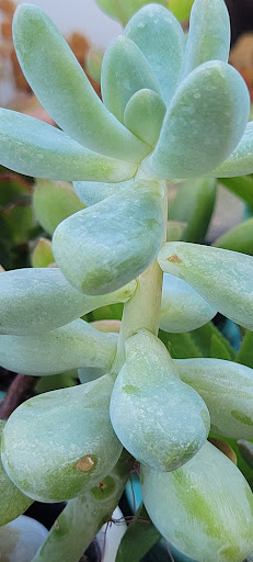 Home Improvement Store «The Home Depot», reviews and photos, 1510 Ring Rd, Elizabethtown, KY 42701, USA