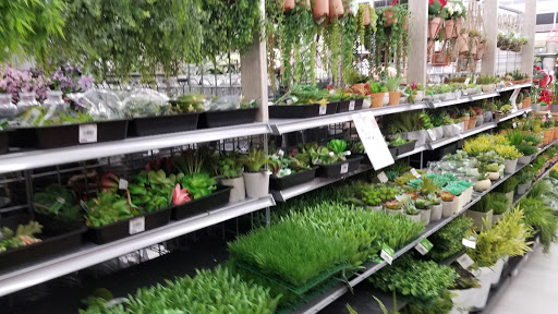 Craft Store «Michaels», reviews and photos, 130 Lincoln Square, Arlington, TX 76011, USA