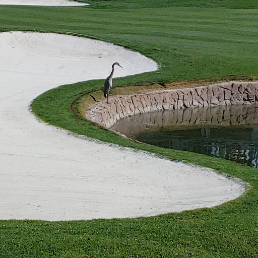 Golf Course «TPC Scottsdale», reviews and photos, 17020 N Hayden Rd, Scottsdale, AZ 85255, USA