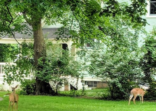 Museum «Beall-Dawson Museum», reviews and photos, 103 W Montgomery Ave, Rockville, MD 20850, USA