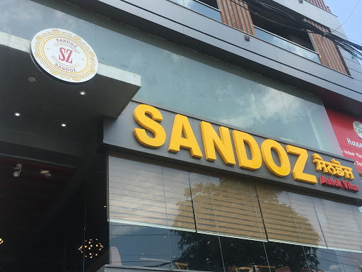 Sandoz - Best Restaurant in Ashok Vihar, Kitty Party Restaurants