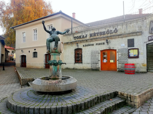 Tokaj, Kossuth tér 6, 3910 Magyarország