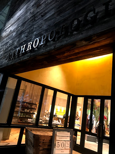 Anthropologie