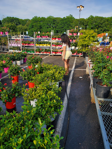 Home Improvement Store «The Home Depot», reviews and photos, 75-09 Woodhaven Blvd, Glendale, NY 11385, USA