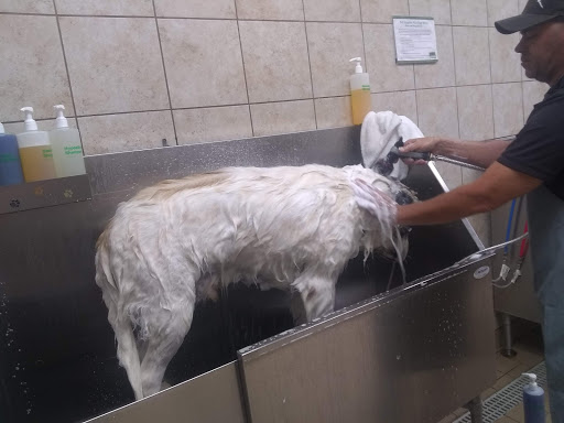 Pet Supply Store «Pet Supplies Plus», reviews and photos, 1012 W Hebron Pkwy #120, Carrollton, TX 75010, USA