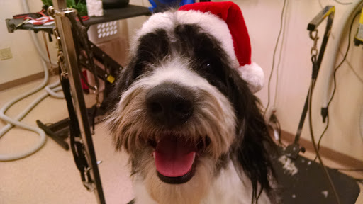 Pet Store «Wiggles Pet Shop, LLP», reviews and photos, 2231 N Montana Ave, Helena, MT 59601, USA