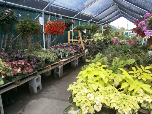 Pet Supply Store «CountryMax - Geneseo», reviews and photos, 4101 Lakeville Rd, Geneseo, NY 14454, USA