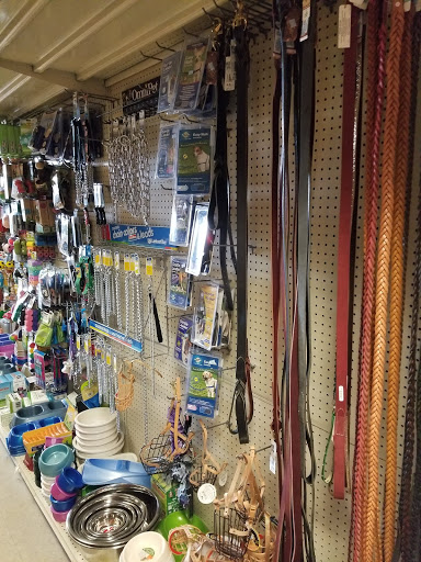 Pet Supply Store «Tams Pet Foods & Supplies», reviews and photos, 19305 Vanowen St, Reseda, CA 91335, USA