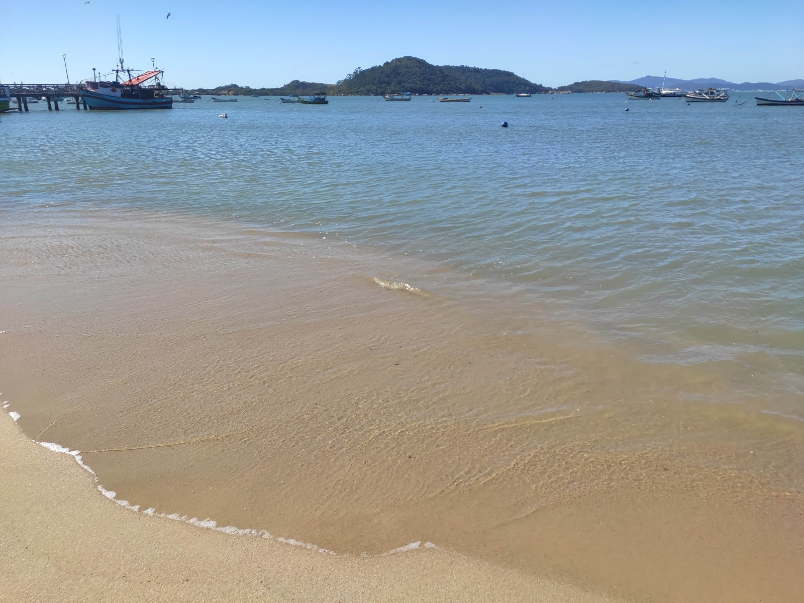 Photo de Praia Fazenda d'Armacao protégé par des falaises