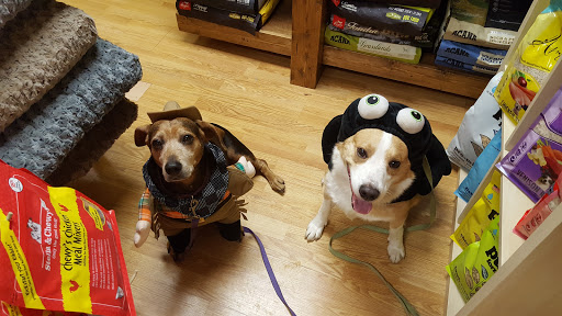 Pet Supply Store «Petagogy», reviews and photos, 5880 Ellsworth Ave, Pittsburgh, PA 15232, USA