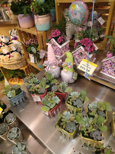 Grocery Store «Ingles Market», reviews and photos, 5251 Calhoun Memorial Hwy, Easley, SC 29642, USA