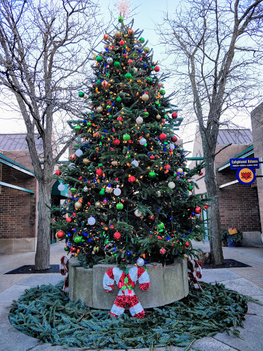 Coffee Shop «Starbucks», reviews and photos, 40 N Williams St a, Crystal Lake, IL 60014, USA