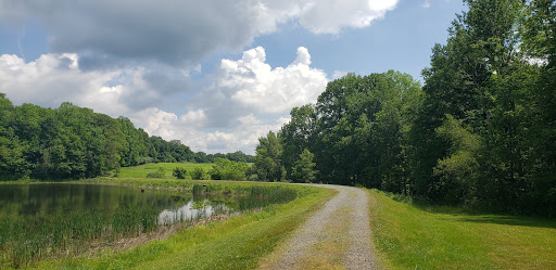 Nature Preserve «Teetertown Ravine Nature Preserve», reviews and photos, 30 Pleasant Grove Rd, Port Murray, NJ 07865, USA