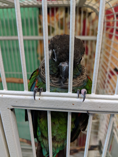 Pet Supply Store «The Animal Connection», reviews and photos, 2550 2550 Judah St & 31st Ave, San Francisco, CA 94122, USA