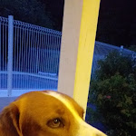 Photo n° 1 de l'avis de Jhone.r fait le 13/09/2020 à 19:42 pour La Rivière Conques à Conques-en-Rouergue