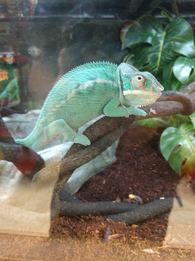 Pet Supply Store «Petco Animal Supplies», reviews and photos, 3680 Spencer Hwy, Pasadena, TX 77504, USA