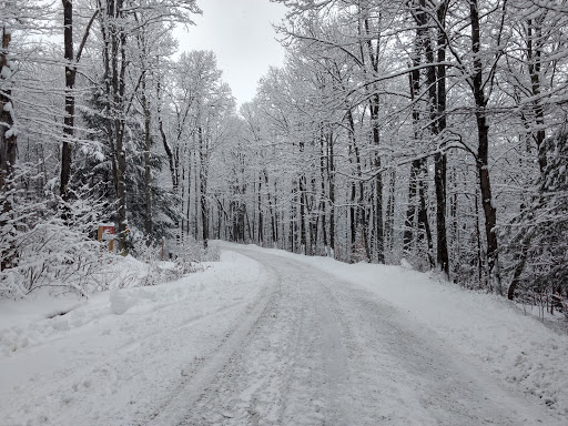 Nature Preserve «Eshqua Bog Natural Area», reviews and photos, Garvin Hill Rd, Woodstock, VT 05091, USA