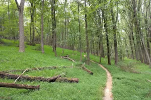 Schaeffer Farms Trailhead image