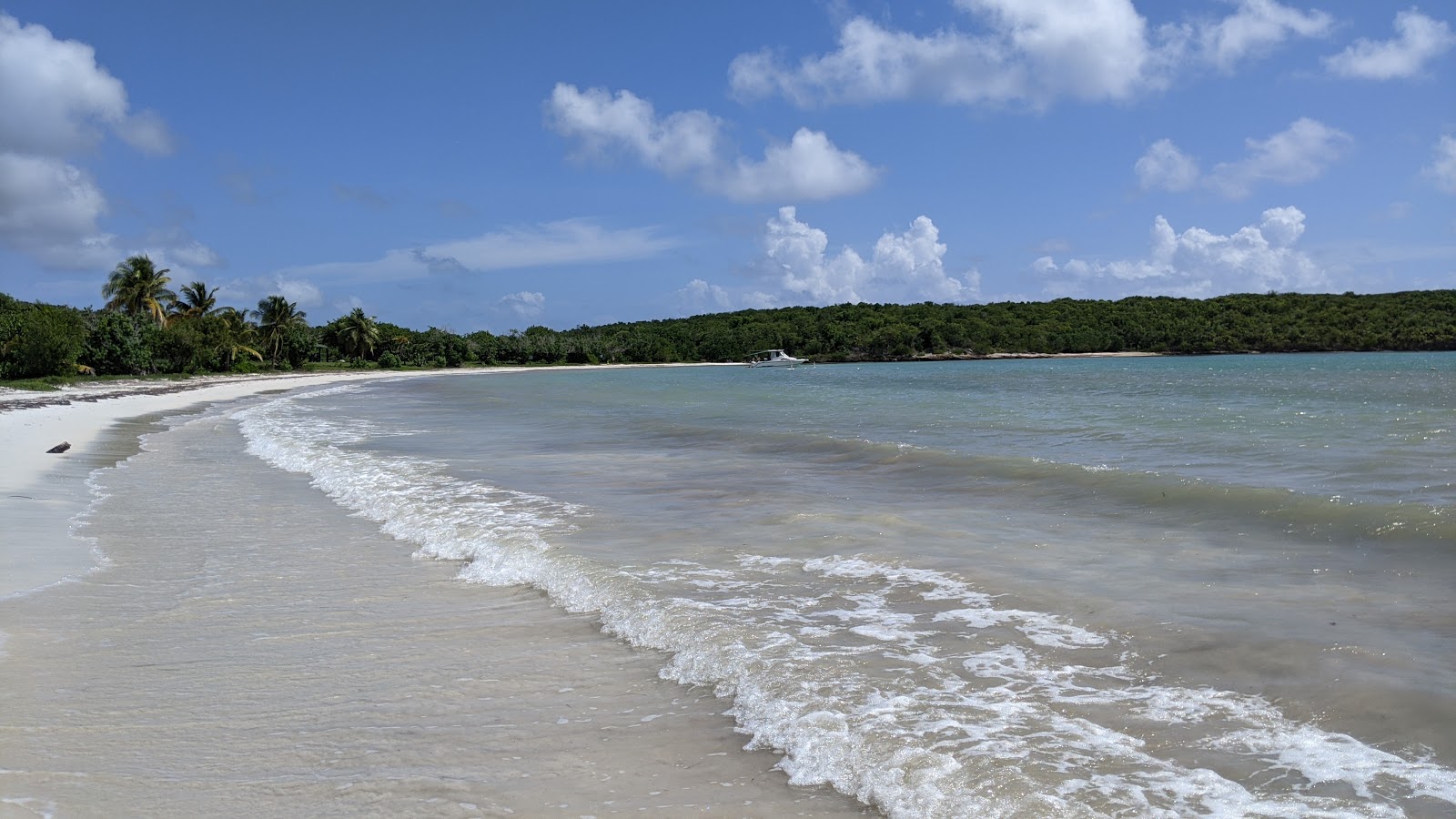 Foto de Playa Media Luna ubicado en área natural