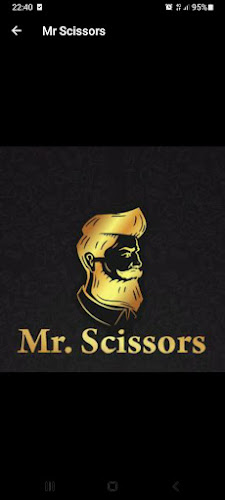 Mr Scissors - Barber shop