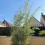 Photo n° 1 de l'avis de Florence.o fait le 16/09/2021 à 09:07 pour Esprit bambou à Mommenheim