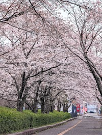 県庁前広場