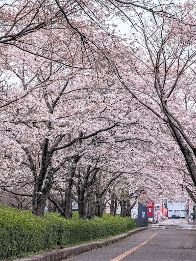 県庁前広場
