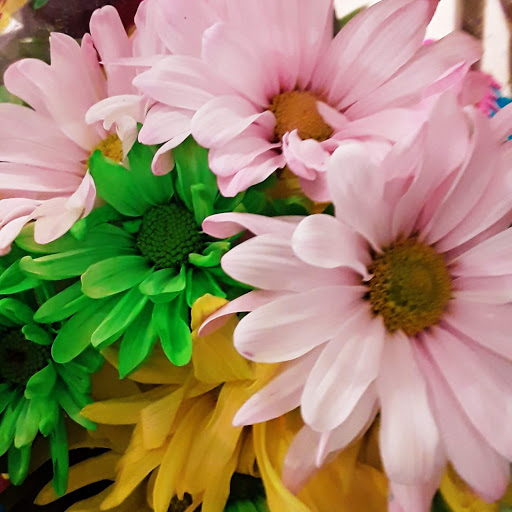 Grocery Store «Giant Food Stores», reviews and photos, 202 Chestnut St, Coplay, PA 18037, USA