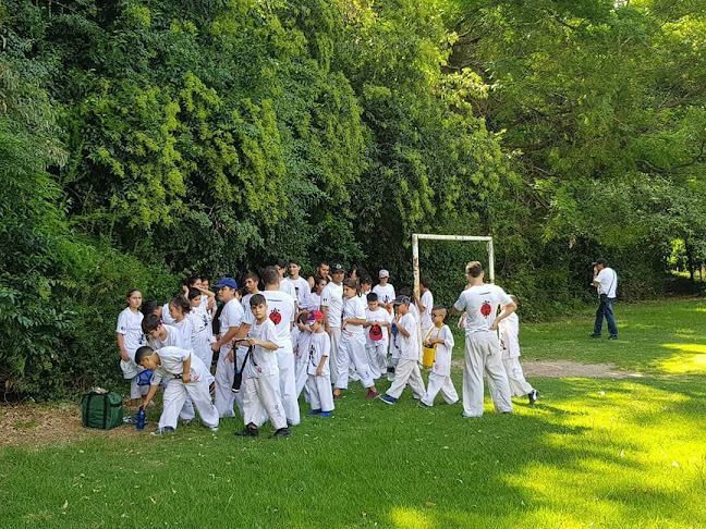 Escuela De Karate Kyokukaikan Honbu Dojo - Escuela