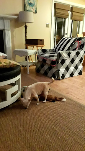 Real Estate Agency «Jack Lingo REALTOR®», reviews and photos, 246 Rehoboth Ave, Rehoboth Beach, DE 19971, USA