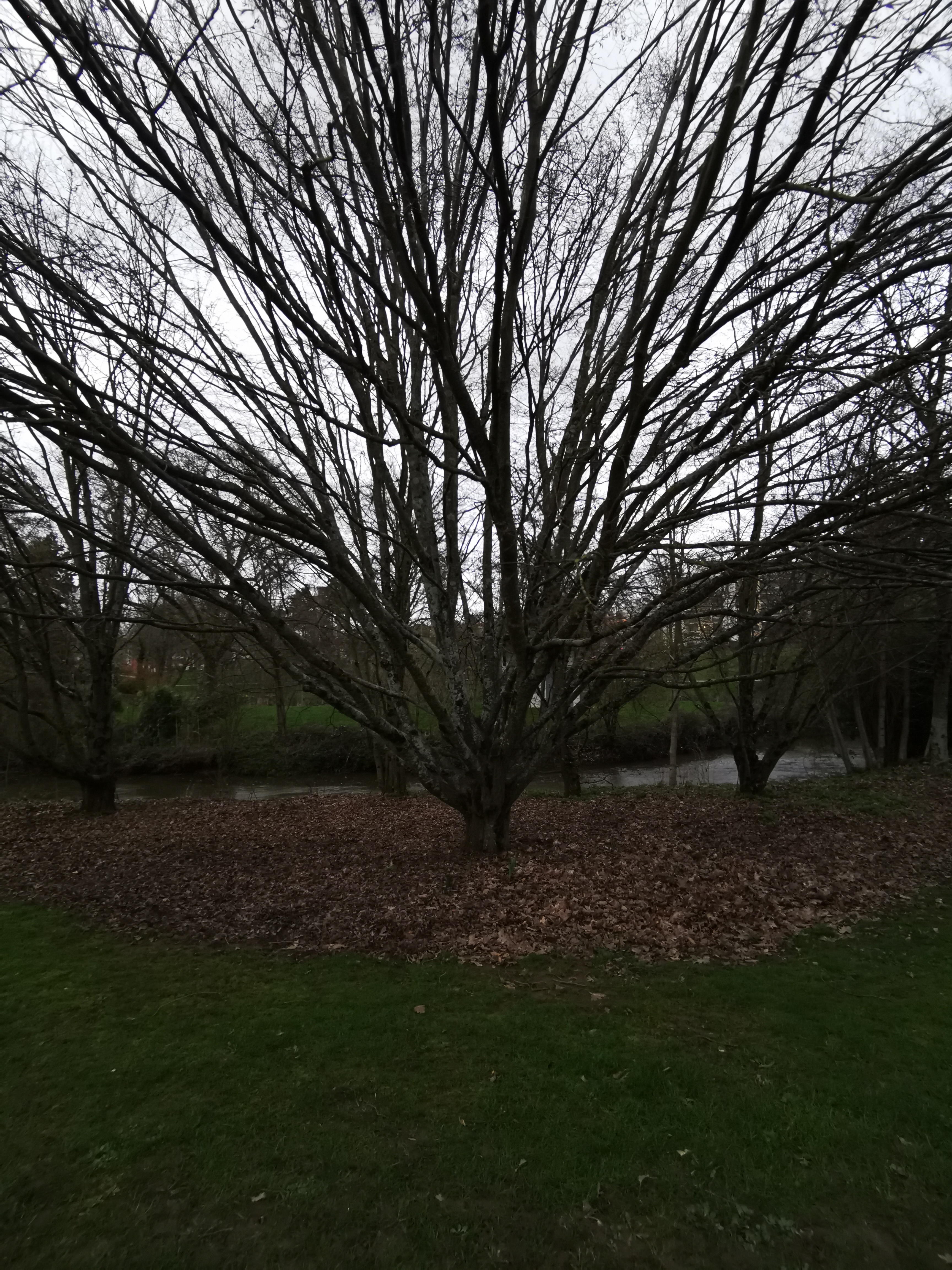 Photo n° 2 de l'avis de Hélène.z fait le 10/02/2020 à 17:45