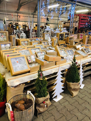 Opinii despre Centrum Ogrodnicze Limba în Rybnik - Ogrodnik