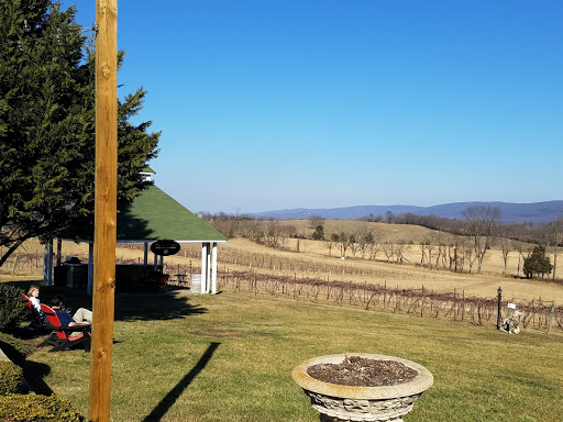 Vineyard «Veramar Vineyard», reviews and photos, 905 Quarry Rd, Berryville, VA 22611, USA