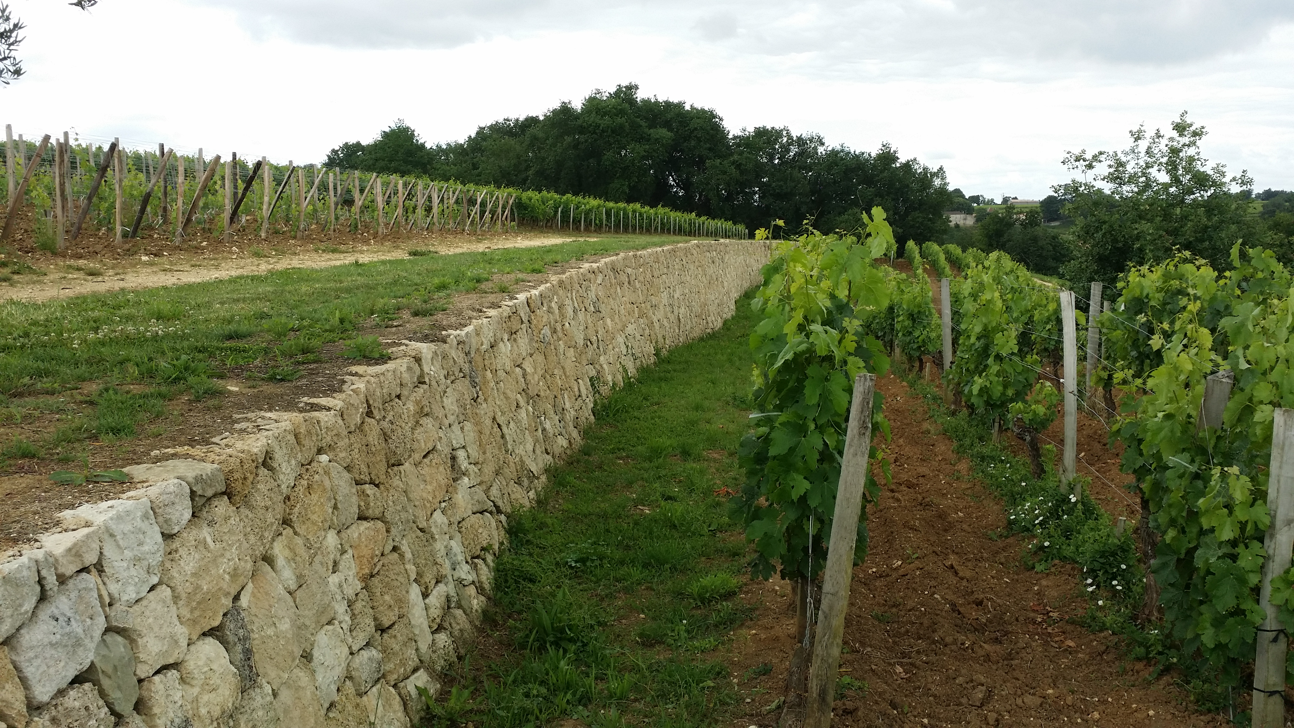 Photo n° 2 de l'avis de Paul.h fait le 07/06/2017 à 10:58