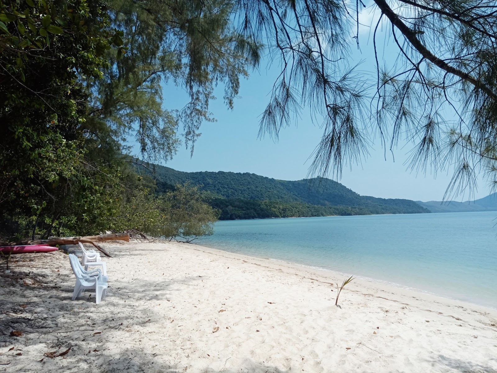 Φωτογραφία του Son Bay Beach με τυρκουάζ νερό επιφάνεια