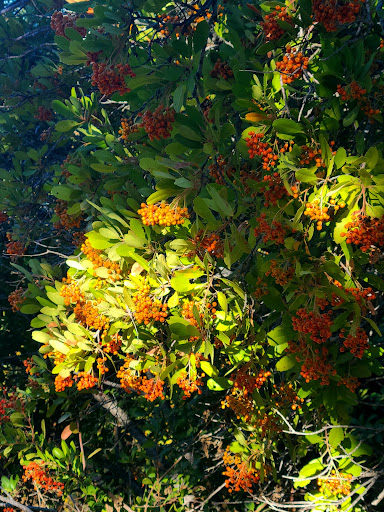 Heintz Open Space image