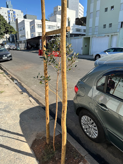 Hot da Vila - Delivery Butanta São Paulo